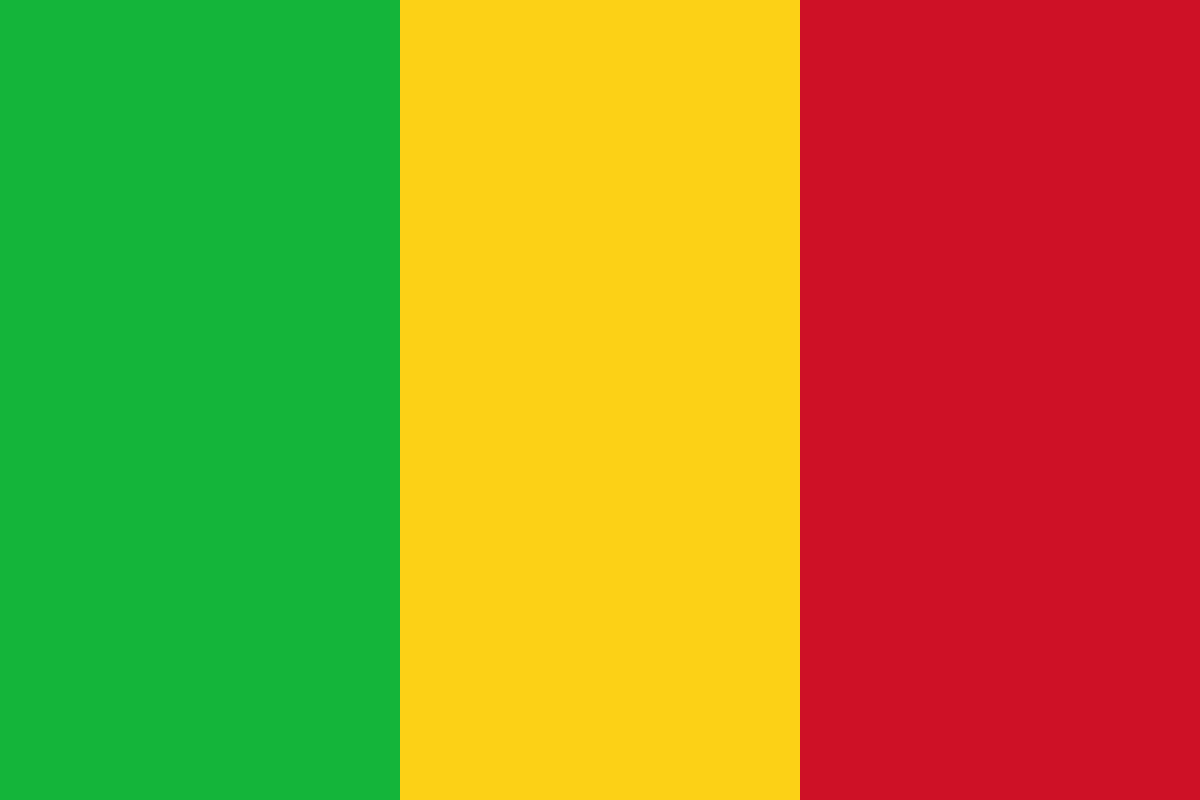 Mali may delay post-coup elections, says interim PM