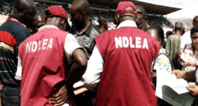 NDLEA sets to take drug war to universities