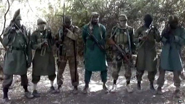 Boko Haram In Charge In Eight Wards In Niger State - Council Chairman