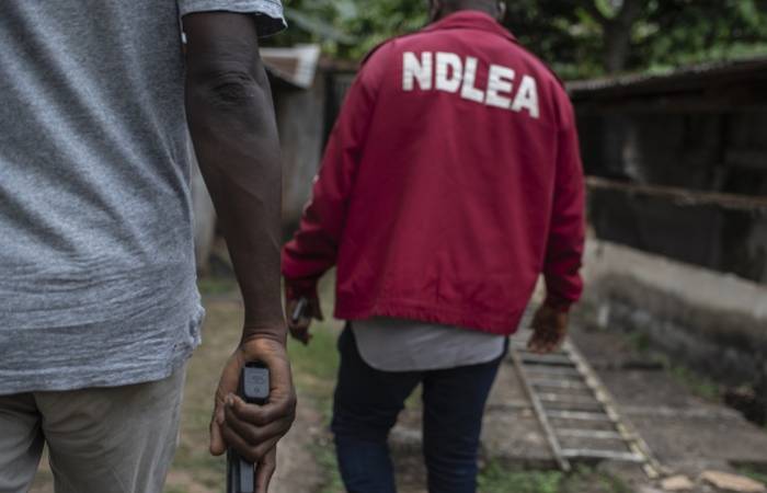 NDLEA: Why cannabis can’t be legalised in Nigeria