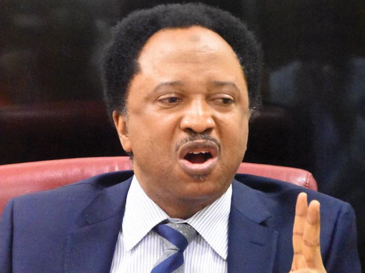 Senator Shehu Sani condemns raid on Justice Odili’s house