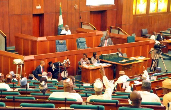 House rejects motion to investigate ‘harassment’ of protesters in Abuja