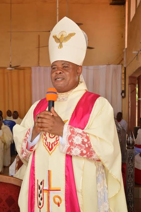 Bishop Okoye's Appointment, Question of Change of Office - Bishop Ezeokafor