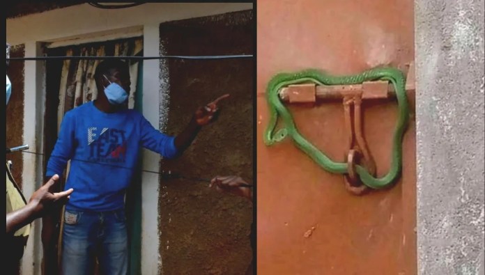 Landlord locks owing tenants out with live snake