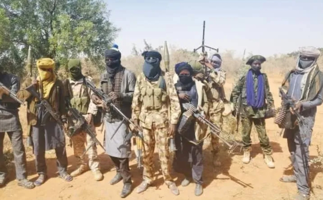 High Court Declares Bandits As Terrorists