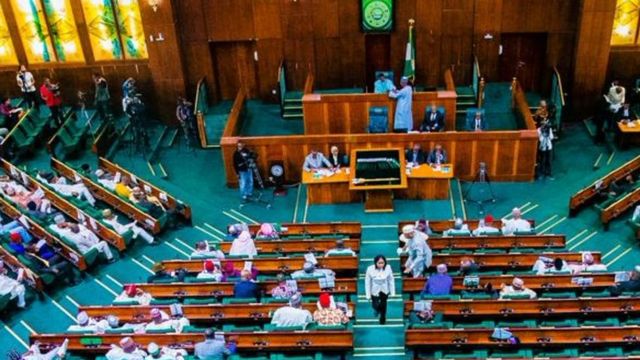 Reps Considering Bill To Fund Nigeria’s Unemployed Youths