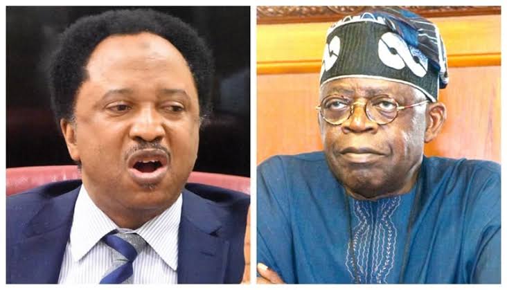 Tinubu’s Posters: You Can’t Win Election On Social Media, SWAGA Tells Shehu Sani