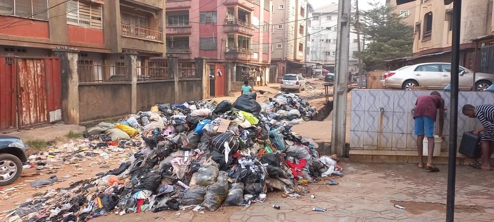 We Pay ANSEPA Fees Monthly, Yet These Bins Won't Be Cleared Why?