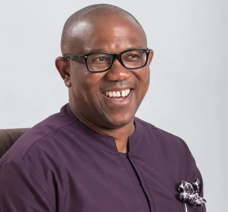 2023: Democratic Leadership Endorses Peter Obi For President