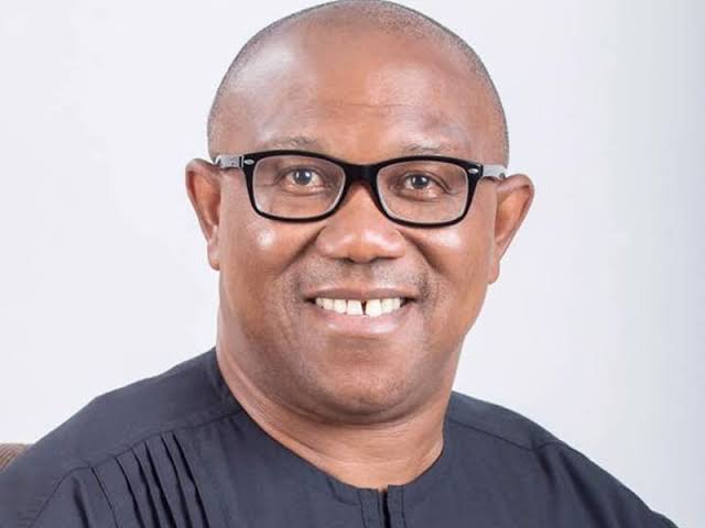 2023: Enugu Sets To Give Peter Obi About 2 Million Votes