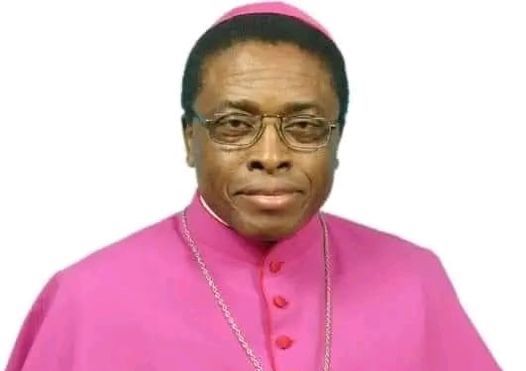 Bishop Isizoh and Catholic Diocese of Aguleri