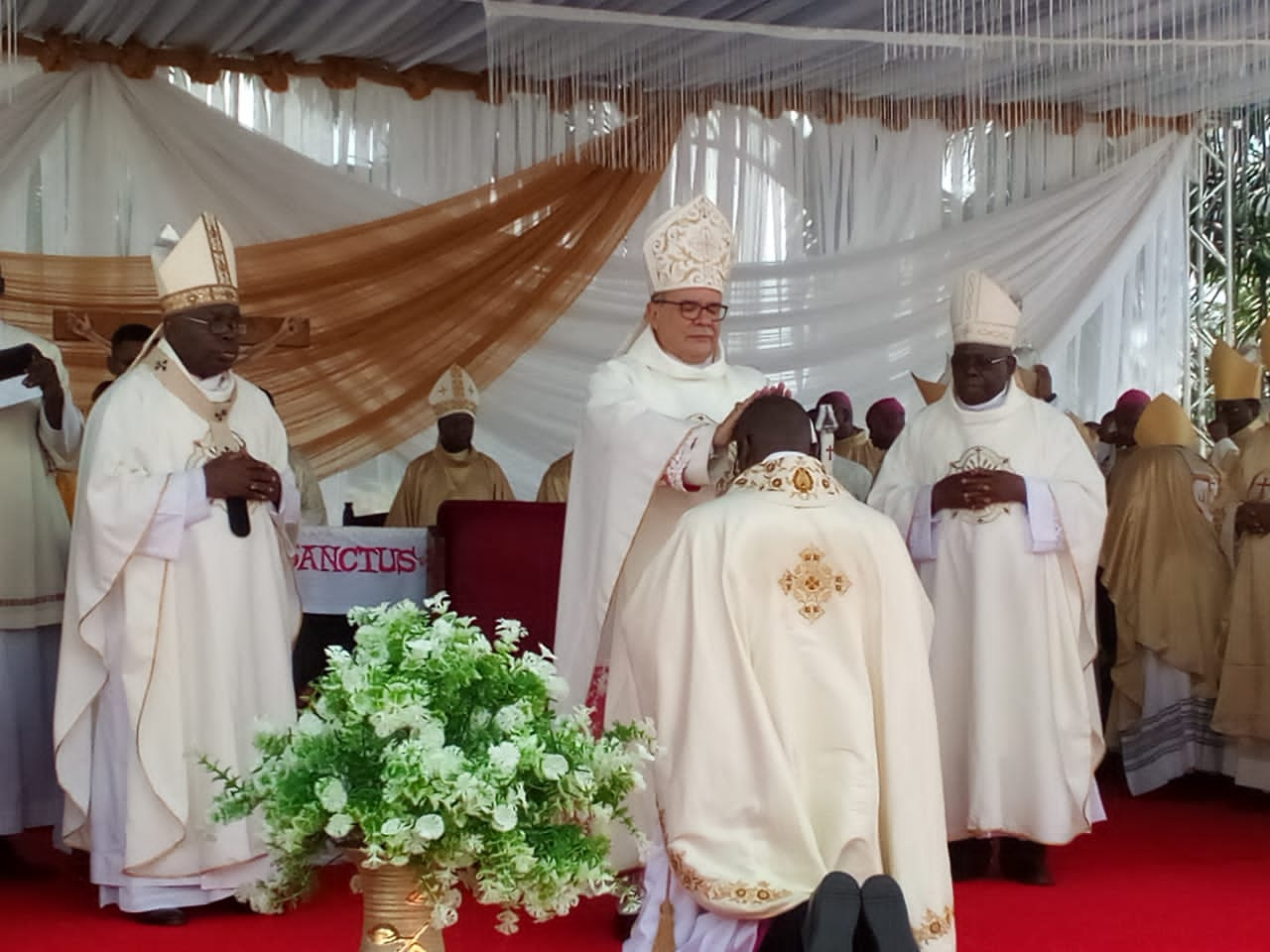 Delta: Pope Francis ordains Ewherido as Bishop of Warri Diocese