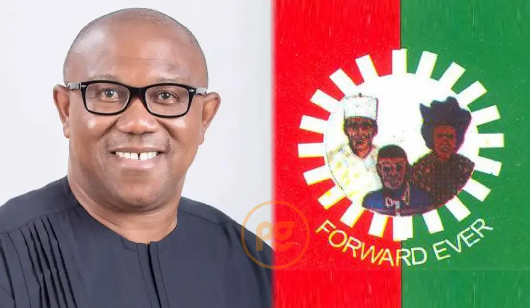 The Nigeria Labour Congress Endorses Peter Obi