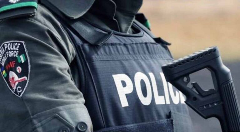 Police Neutralise Two Suspected Kidnappers, Rescue Victim In Enugu