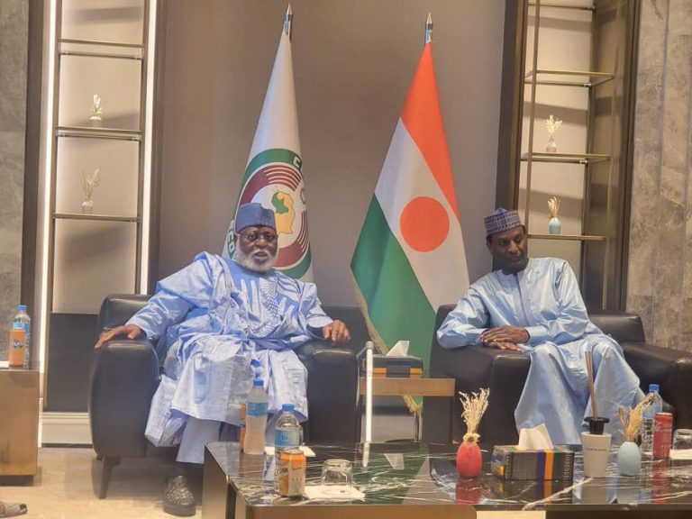 Niger Coup: Tinubu Meets Abdulsalami, Ribadu, Others