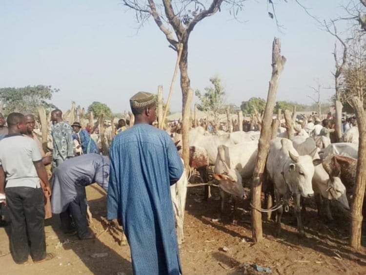 Herdsman Killed In Anambra State