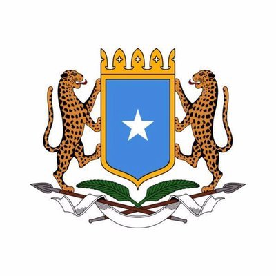 Somali Government Bans Tiktok, Telegram, 1XBET