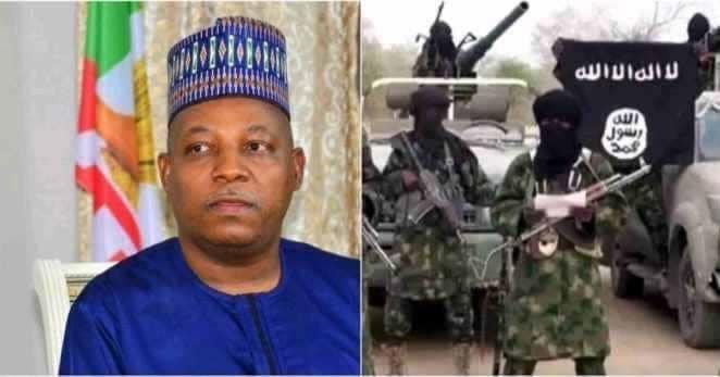 Insurgency Caused $9bn Damage In Northeast — VP Shettima