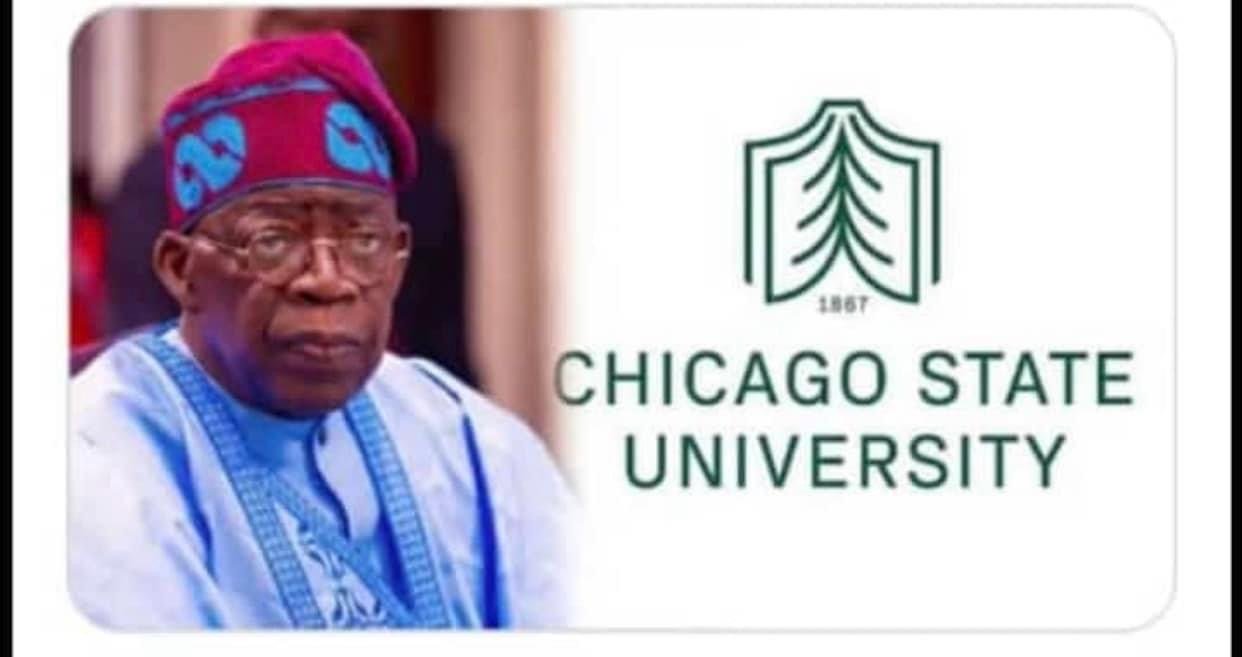 Remi Sonaiya Apologizes For Sharing Fake News About Tinubu-CSU Discourse