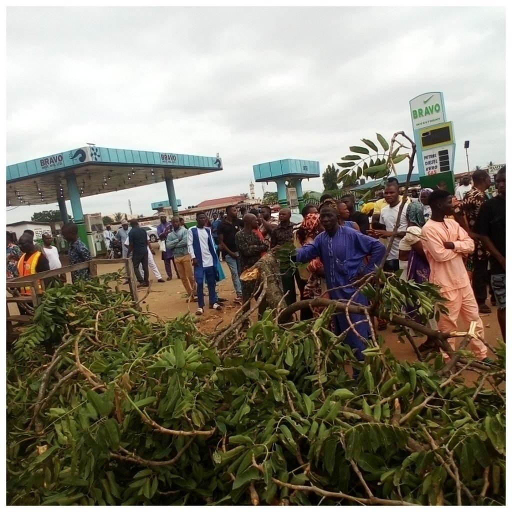 How Tree Fall To Kill Woman, Injure 10 Others In Ilorin