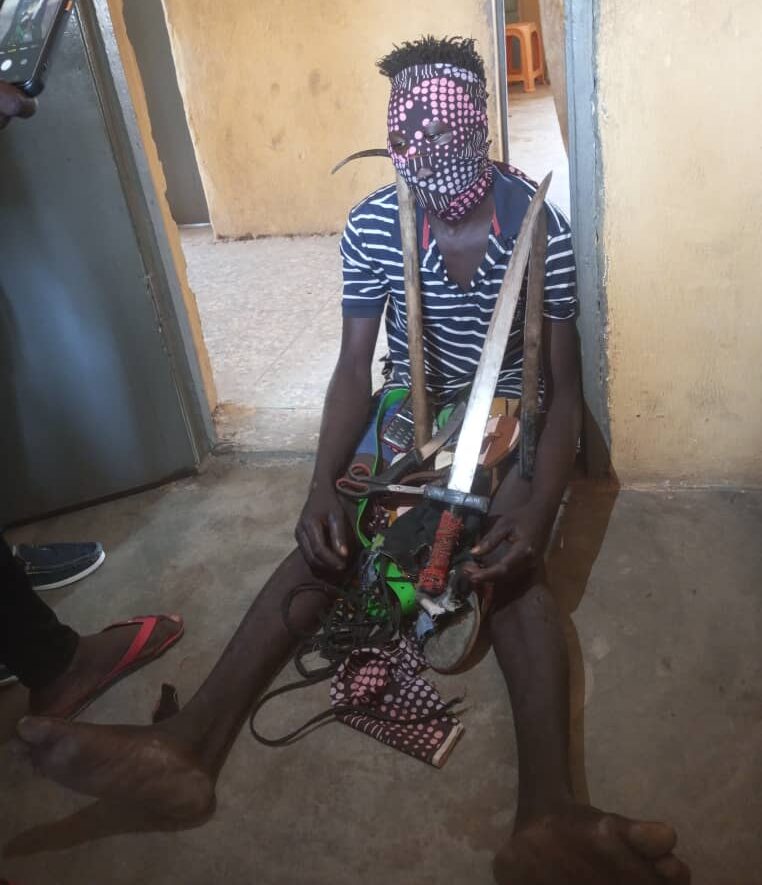 Police Nab Serial Goat Thief In Kaduna