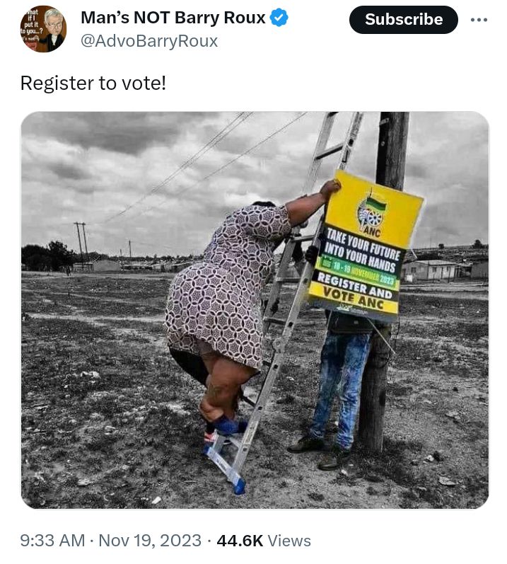 Extra Large SA Woman Spotted Climbing Ladder To Put Up Her Political Banner