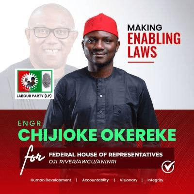 Chijioke Okereke: Appeal Court Sacks Enugu LP Reps Member