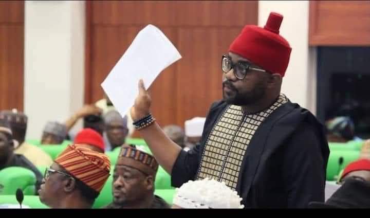 Appeal Court Affirms Ikenga Ugochinyere's Election