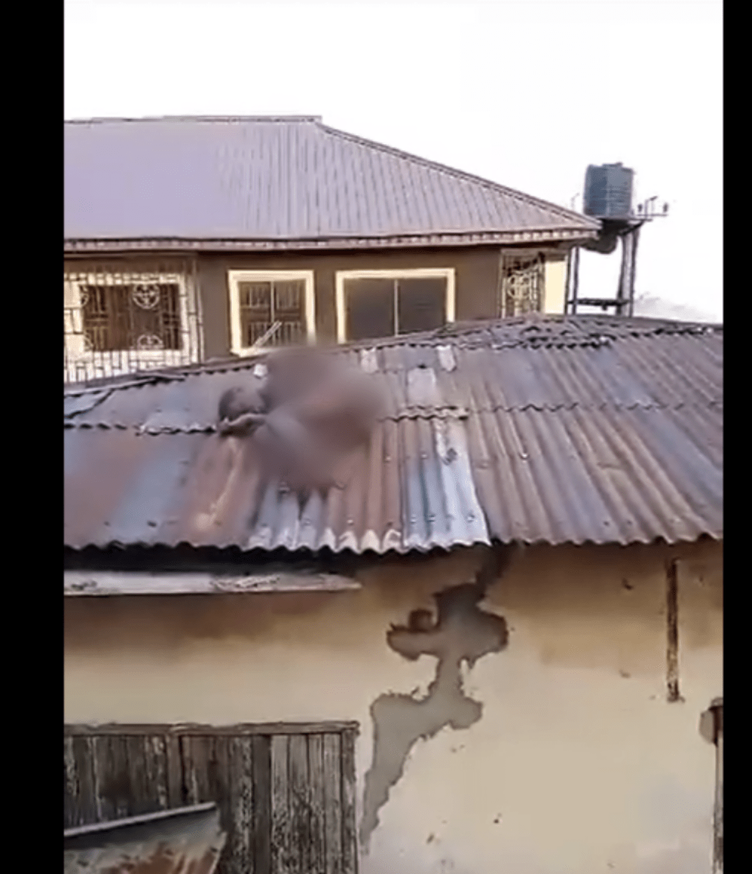 Is he a witch? N@ked person seen on a roof in Edo community