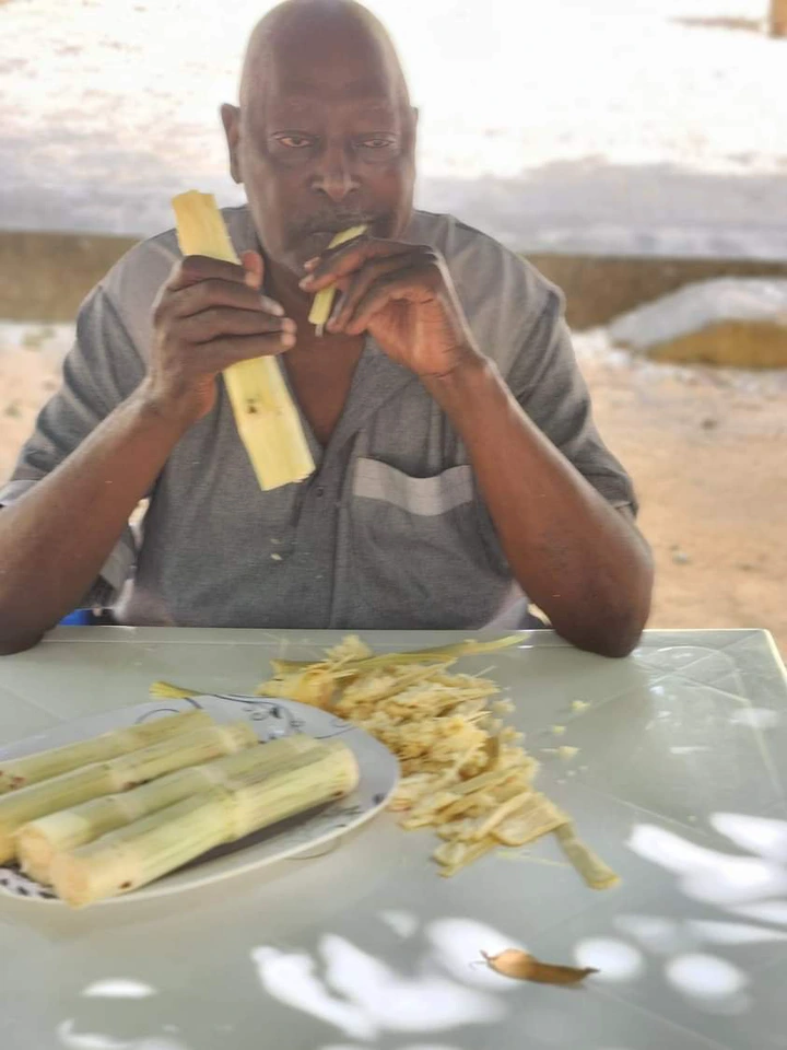 ‘I can’t k!ll myself’ – Ex-SGF, Babachir Lawal, shares photo from farm, says ‘Akara and 5-Alive To The Rescue’