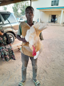Moment 17-Year-Old Was Caught, Arrested For Having $3x With A Cock In Adamawa