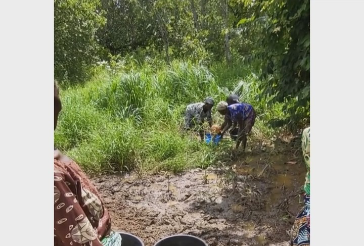 Omidoyin, Oyo Community Cries Out Over Poor State Of Water