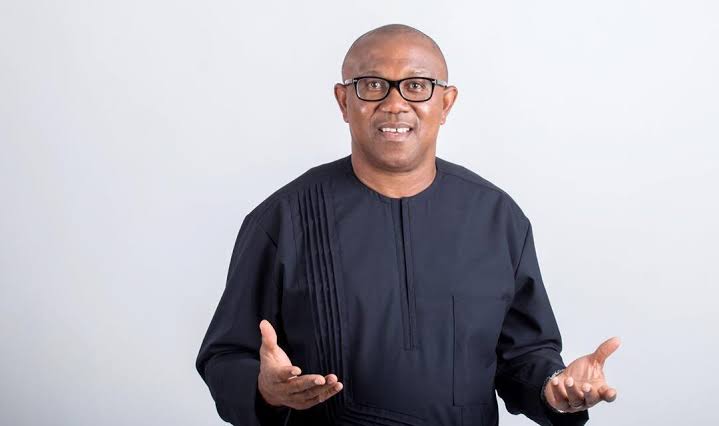 Debt And Waste As Economic Policy – Peter Obi