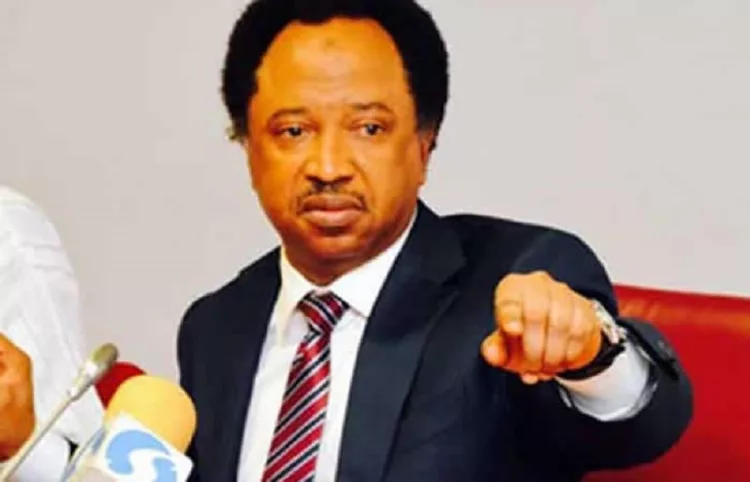 Shehu Sani Urges Governors To Follow Suit On Tinubu 60% Travel Delegation Slash