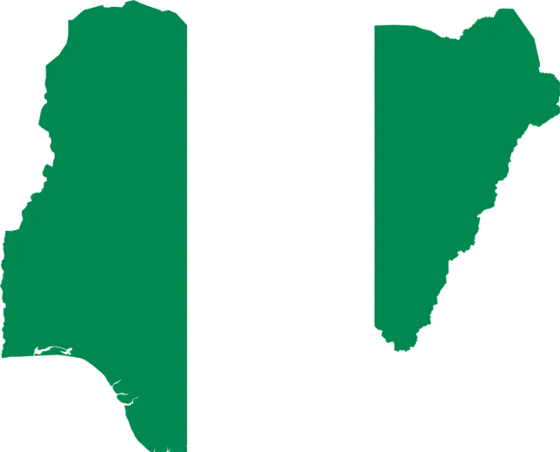 90% 2023 diaspora remittances didn’t get to Nigeria — Oyedele