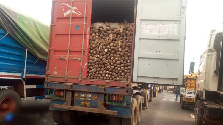 EFCC Arrests 21 Trucks For Smuggling Foodstuffs To Neighbouring Countries