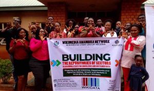 Anambra State, Conspicuously Lagging Behind In Wikidata - Osuchukwu