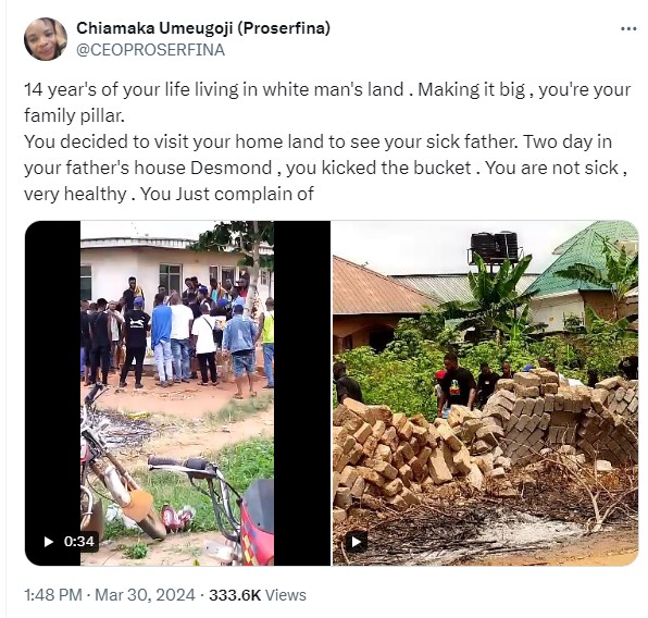 Abroad-based Nigerian Man Dies of Mysterious Ant Bite 2 Days of Village Visit