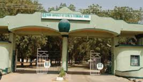 How Female Kano Varsity Student Found Dead In An Apartment