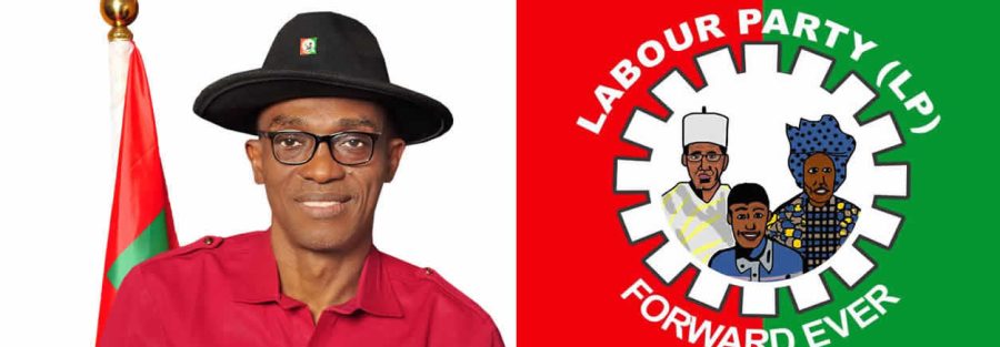 Labour Party Appoints Ngogbehai, Elumelu, Ismaila, Others To Oversee Obidients