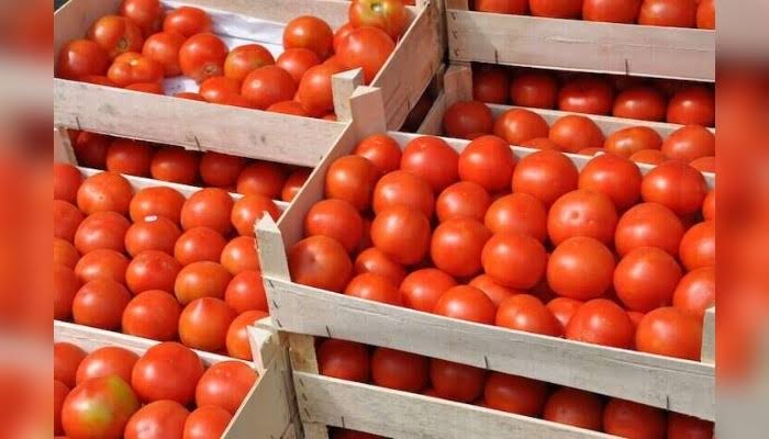 See 3 Better Alternatives To Fresh Tomatoes