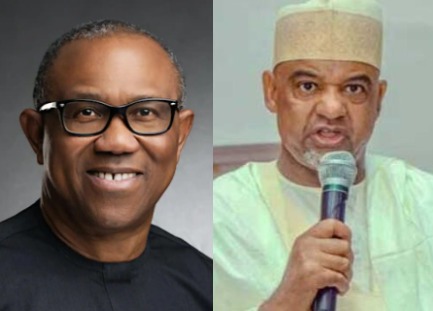 PDP wants Peter Obi, others back to the party