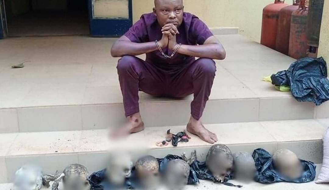 Ritualist Caught With 8 Human Skulls Priced At ₦30k Each In Ondo