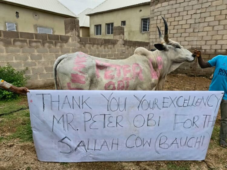 Eid-El-Kabir: Moment Peter Obi Donates Cow To Bauchi LP Members To Celebrate