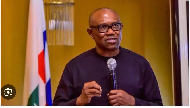 Who created Obidient Movement? Aisha Yesufu said it is not Peter Obi