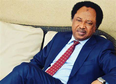 Any attempt to remove Tinubu in 2027 can tamper with the unity of Nigeria — Shehu Sani