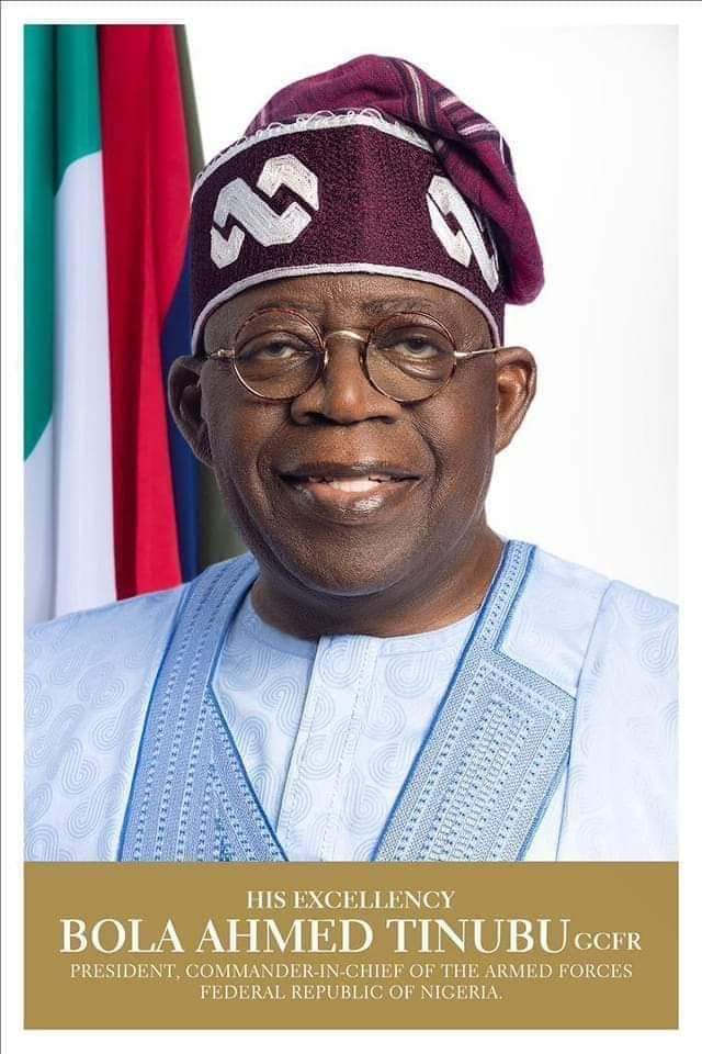 Tinubu appoints heads of NLTF, NDE, NIHSA, PenCom, others