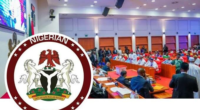 Senate Welcomes Tinubu’s Requests To Adjust 2024 Budget, Tax Banks’ Profits