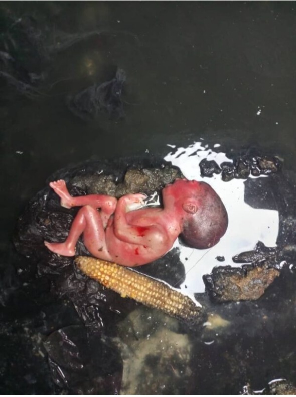 Day-old Baby Found In Manhole In Port Harcourt