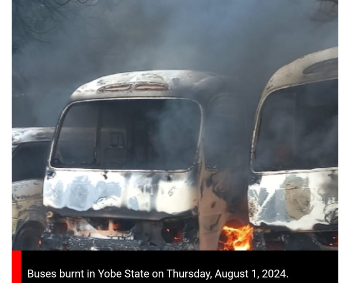 18 Suspects Arrested For Vandalism In Yobe During Hunger Protest